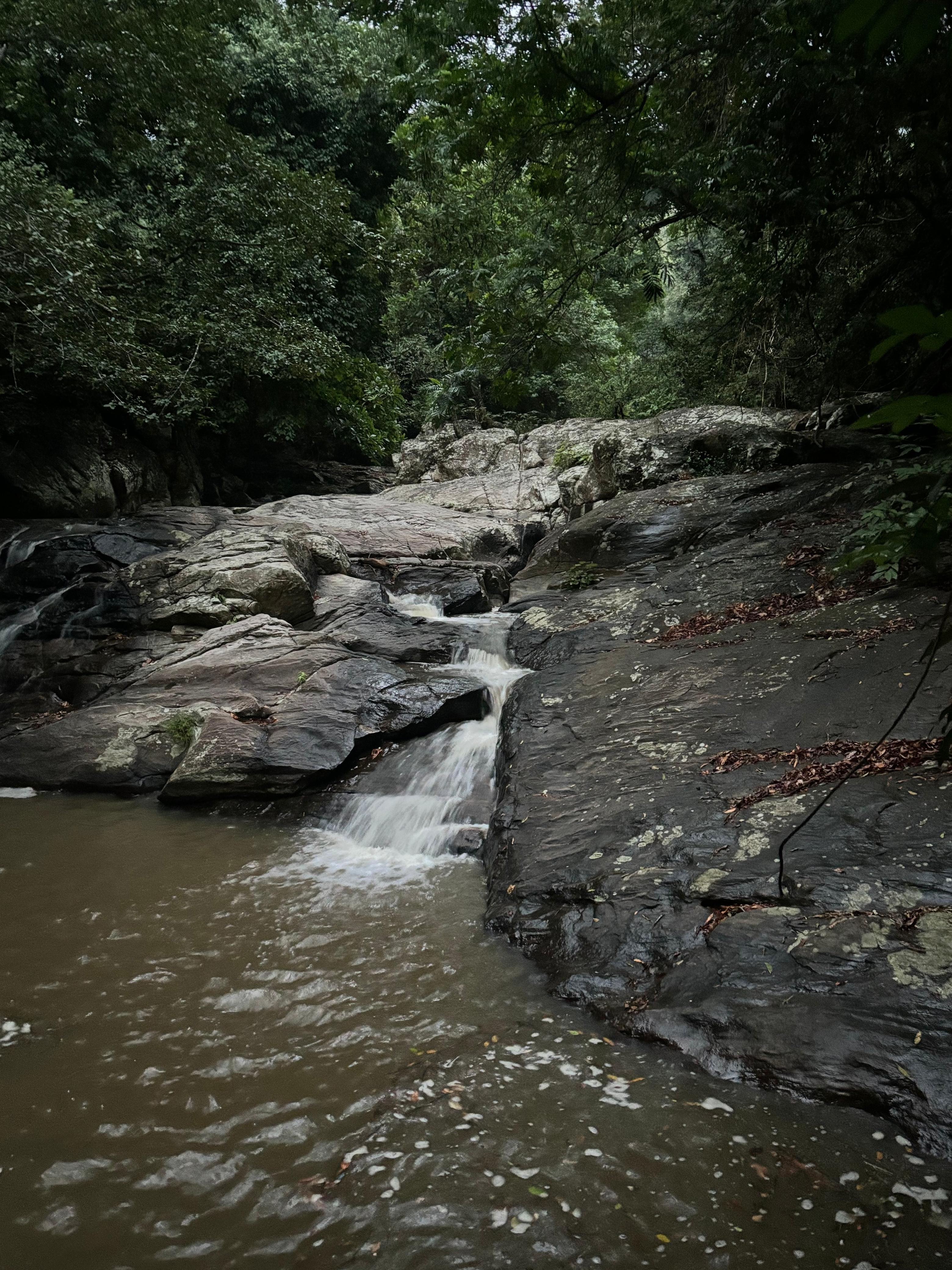 Treehouse pavilion glowing at dusk